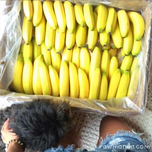 banana-island-801010-high-carb-lowfat-vegan-raw-hclf