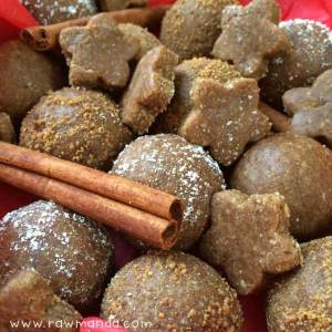 Healthy Christmas Recipes - Gingerbread Cookies