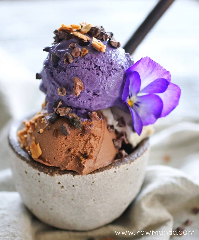 Blueberry Chocolate Vegan Ice Cream