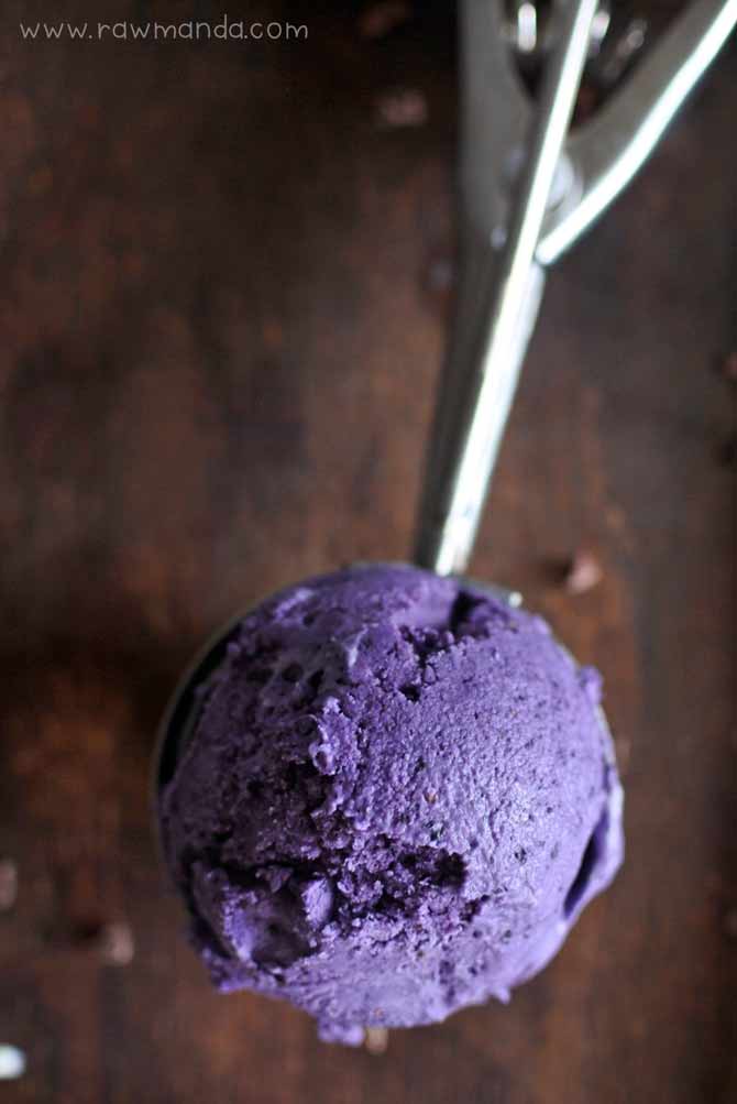 Raw Blueberry Coconut Ice Cream